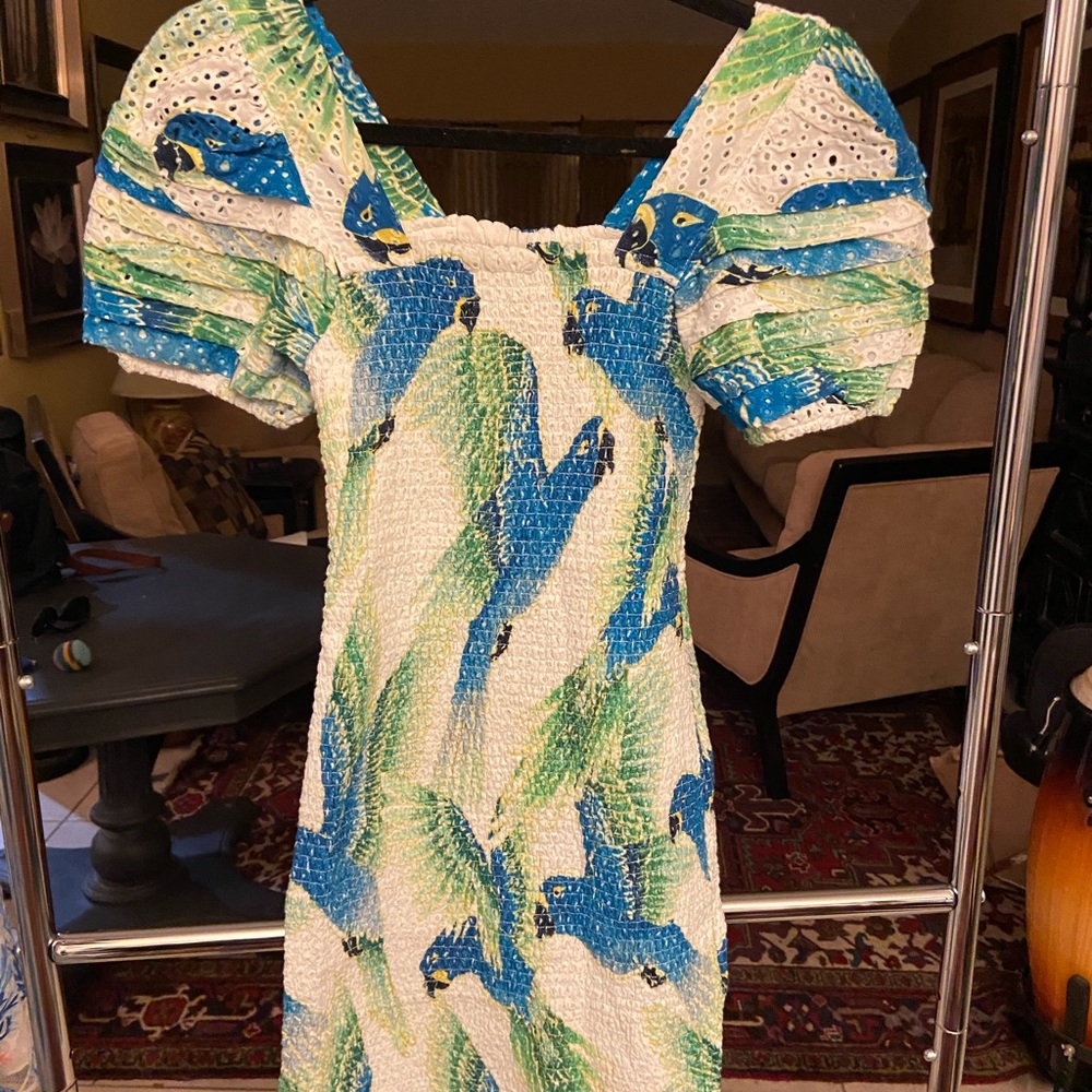 Farm Rio Blue Parrot Dress